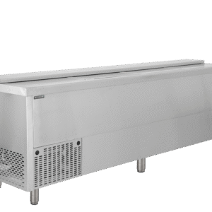 Tefcold BHC250X1 Bottle Chest Cooler SS201